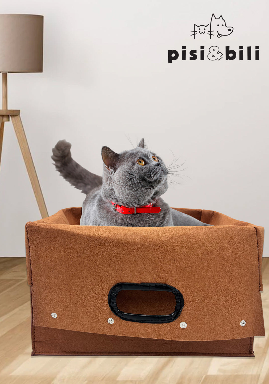 Pisi & Bili Transportbox Katze,Zubehör für Katzen, Katzenhaus