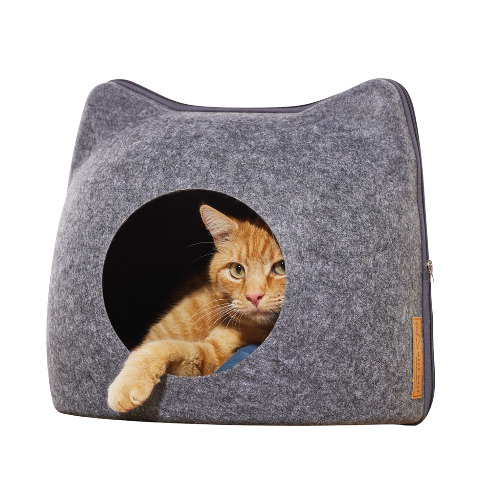 Pisi & Bili Katzentunnel Katzenbett aus Filz, Katzenhöhle für Katzen, mit Kissen